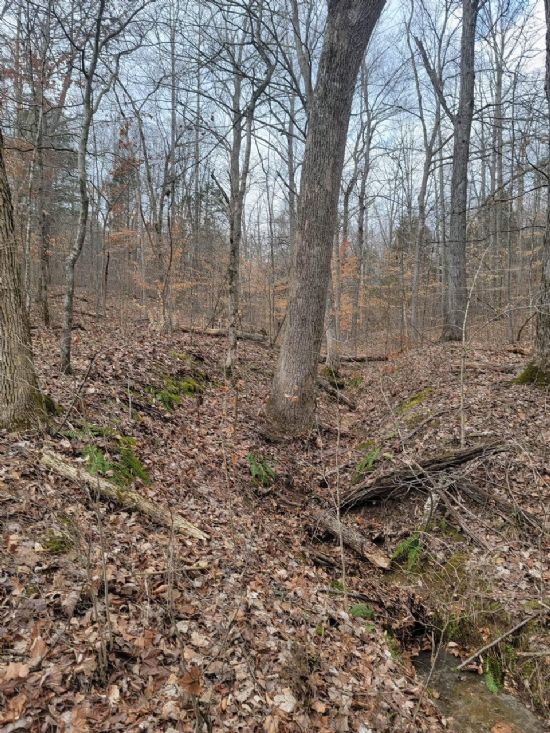 Kentucky Land Company